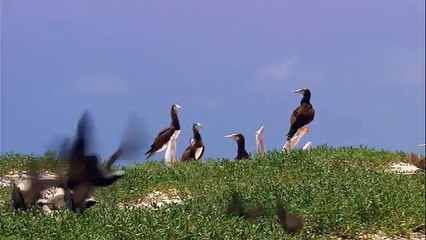 Hair do makeup Inside out was probably the cutest most creative movie (Sad,Joy,Disgust,fear & Anger)