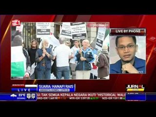 Langkah Jokowi Wujudkan Palestina Merdeka