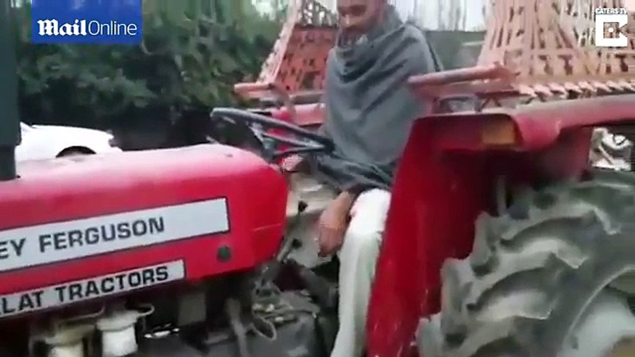 fdsd