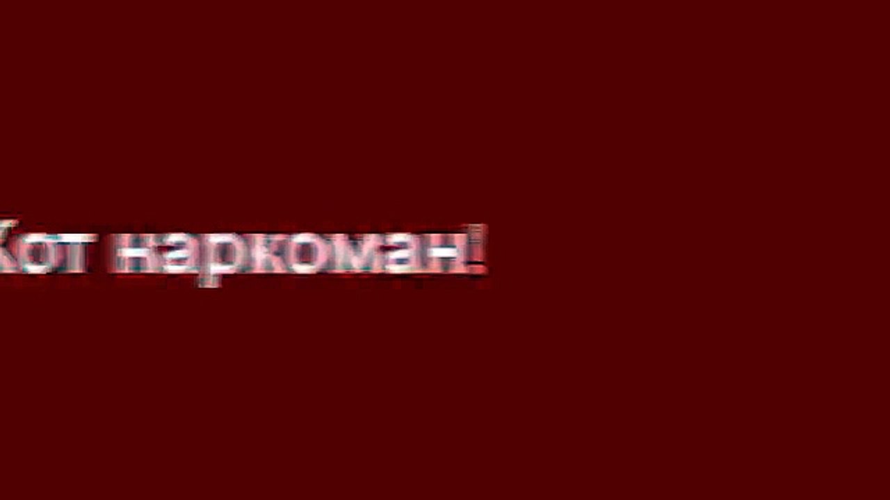 Кот Наркоман!