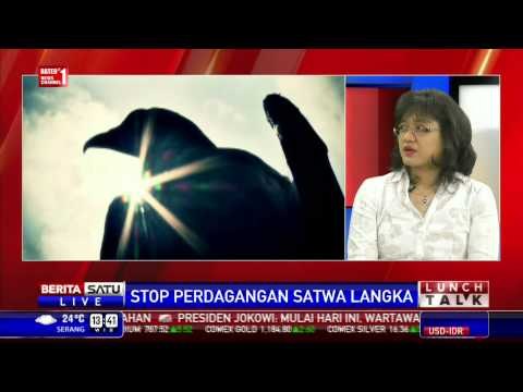 Lunch Talk: Stop Perdagangan Satwa Langka # 3