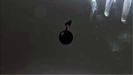 LuXe - Seine Zoo Freestyle