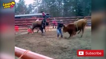 CRAZY FUNNY BULLFIGHT BLOOPERS - Funny Video - Funny Fails
