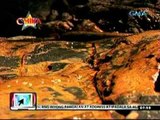 24oras: Survivor Celebrity Showdown, sa bansa gaganapin sa unang pagkakataon