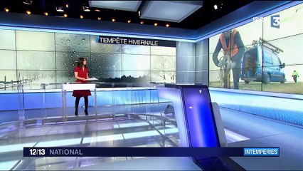 Intempéries : près de 200 000 foyers privés d'électricité