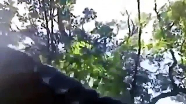 Приколы 2015 Лучшие Приколы Смешное Видео