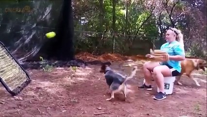 ПОДБОРКА ПРИКОЛОВ ☆23_