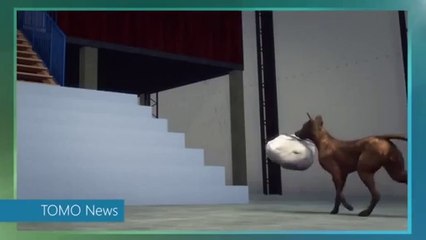 video Dog saves life of newborn Baby in Saudi Arabia