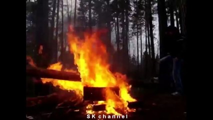 Самые смешные приколы и курьезы за неделю 24!