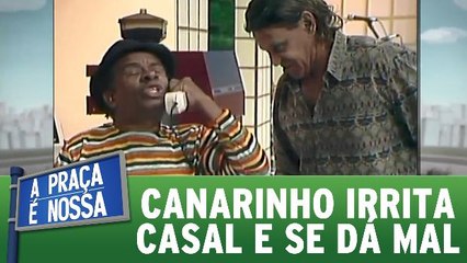 Canarinho irrita casal e se dá mal