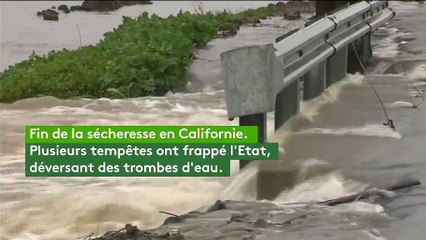 Dans les parcs, sur les routes... En Californie, gros dégâts après les tempêtes