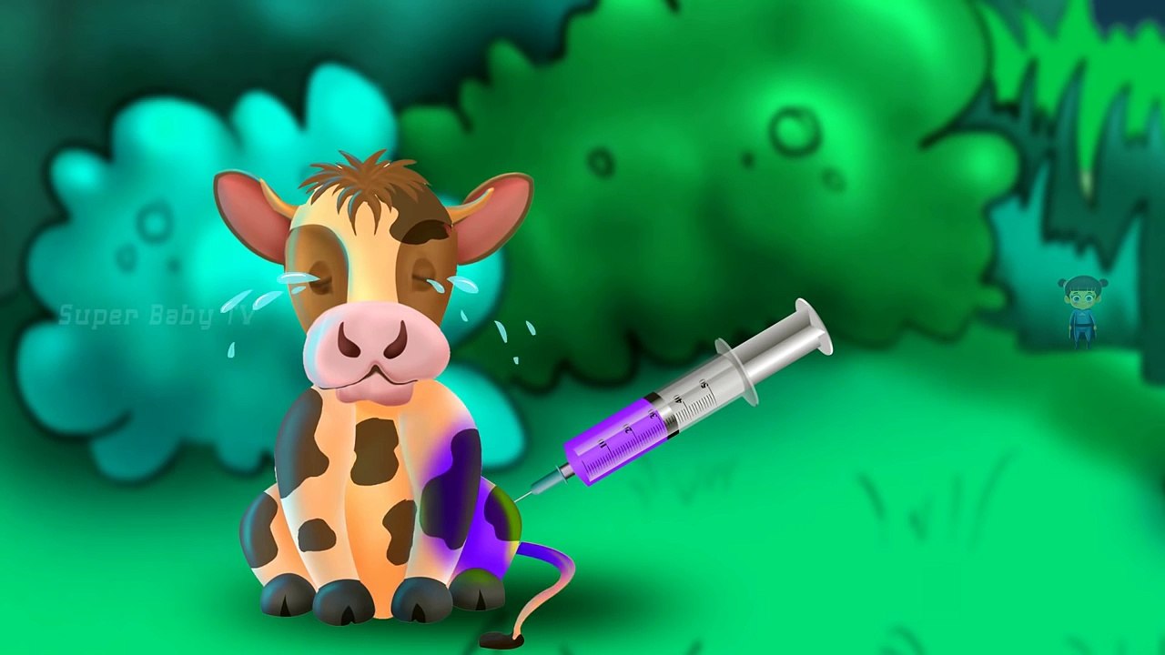 Learning Colors Baby Cattle Injections in The Bottom | Learning Colors for Kids with Baby Cattle