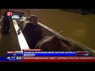 RI Pangkas Impor Sapi, Australia Kecewa