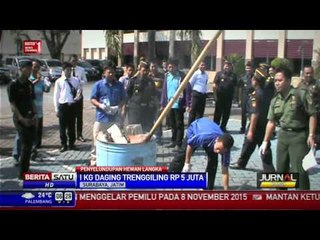 Bea Cukai Surabaya Gagalkan Penyelundupan Trenggiling ke Singapura