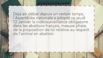 L’Assemblée nationale vote pour la vidéosurveillance obligatoire dans les abattoirs français