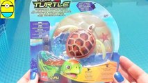 Toys review toys unboxing. Robo turtle. Turtle robot rofofish unboxing toys egg surprise tv channel