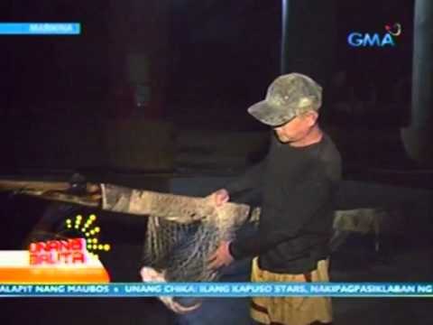 UB: Lebel ng tubig sa Marikina river, nananatiling normal sa kabila ng pag-ulan