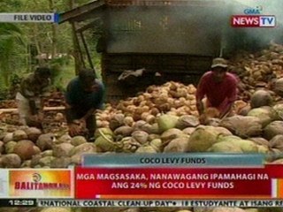 BT: Mga magsasaka, nanawagang ipamahagi na ang 24% ng Coco Levy Funds