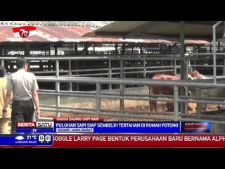 Pedagang Daging Mogok, Puluhan Sapi Potong Terlantar di RPH