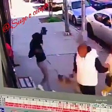 Quand un chat véritablement enragé s'en prend à un petit chien