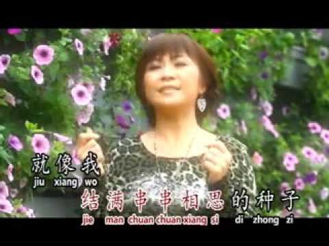 [Jess 陳芯琳] 相思樹 Jess 陳芯琳 相思樹 (Official MV)