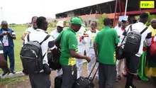 regardez l'arrivée des lions à Gabon
