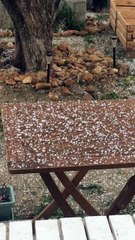 De la grêle à Saint-Saturnin-lès-Avignon