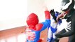 Человек-паук против Венома против Бэтмена в реальной жизни супергероя эпическое кино Супергерои битвы противостояния детей