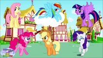 MY LITTLE PONY Mane 6 Transforms Rainbow Dash Color Swap Surprise Egg and Toy Collector SETC