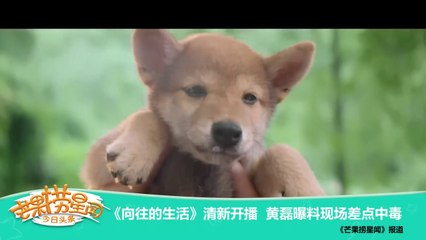 《芒果捞星闻》 Mango Star News:黄磊曝料现场差点中毒【芒果TV官方版】