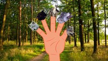 Finger Family Wolf Wild Animal Rhymes | Nursery Rhymes For Children | Forest Animal cartoon song