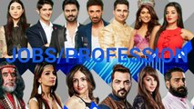 Big Boss 10 Contestants Jobs and Profession-13th January 2017 updates by Best Video