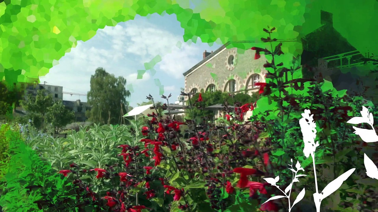 Folies Botaniques dans les Serres : Cactus #2