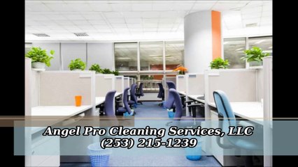 Angel Pro Cleaning Services, LLC - (253) 215-1239