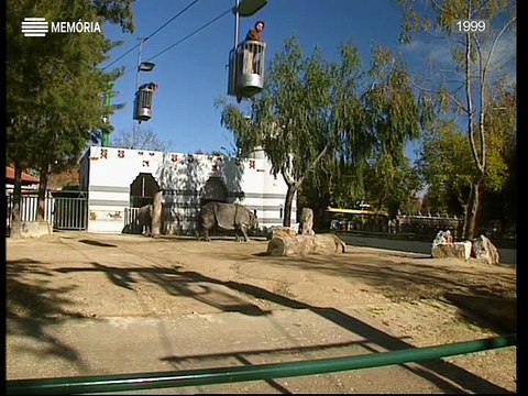 Horizontes da Memória, Vamos ao Zoo, Lisboa, 1999