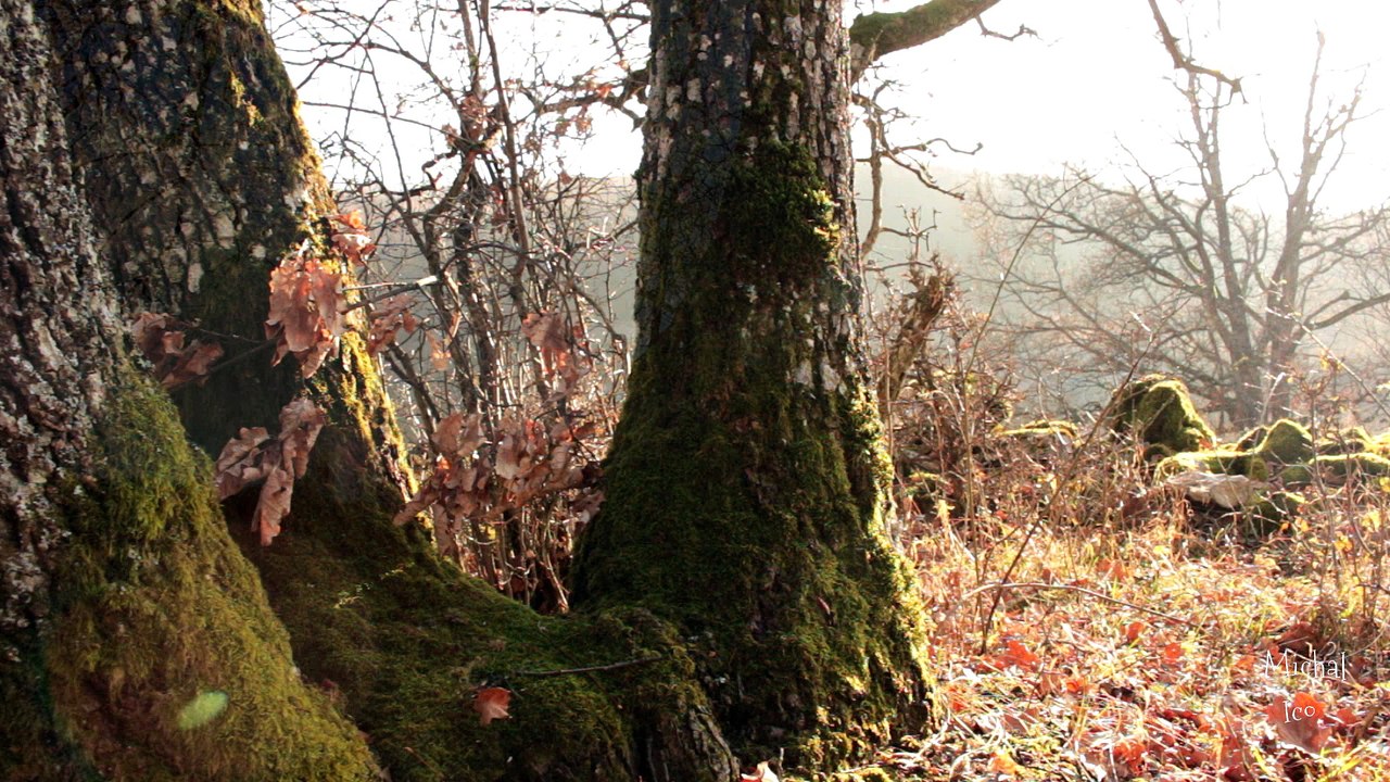 Nature in Slovakia