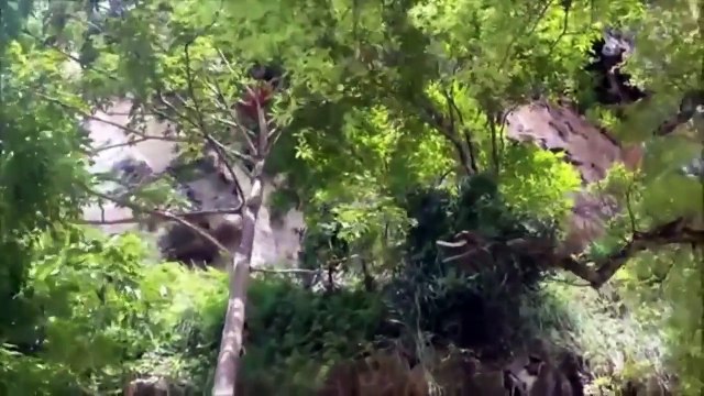 Best FAILS Compilation Funny Fails For laugh Zone #3