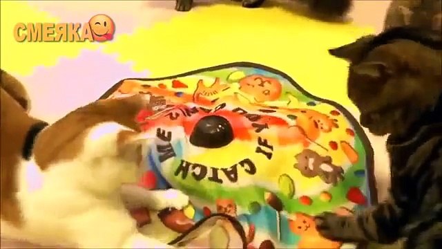 Подборка приколов