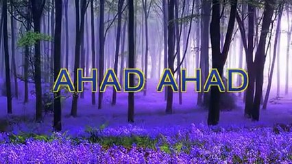 Belgian Girl Converts To Islam