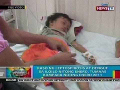 BP: Kaso ng leptospirosis at dengue sa Iloilo nitong Enero, tumaas kumpara noong Enero 2011