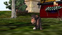 Monkey Finger family nursery 3d English rhymes | Funny Animals Finger Family kids songs
