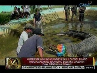 Kumpirmasyon ng Guinness kay 'Lolong' bilang pinakamalaking buwaya, aabutin ng 6 na buwan