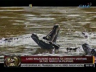 24 Oras: Ilang malalaking buwaya na umano'y umatake sa tao, nahuli sa Pilipinas