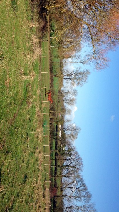 Loulou en forme_2_13jan17