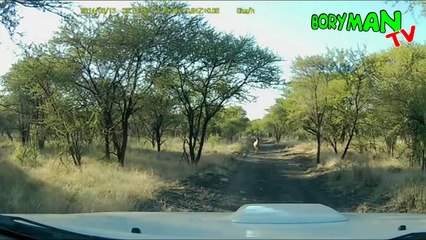 НЕ ДЕТСКИЕ ПРИКОЛЫ 2016 ЛУЧШИЕ ДЕКАБРЬ