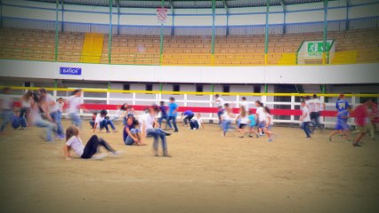 PROPUESTA PROMO PALMARES