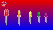 RAINBOW OF LIGHT EMITTING DIODES finger family