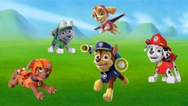 Paw Patrol Cartoon Finger Family / Daddy finger, daddy finger, where are you? / English Rhymes