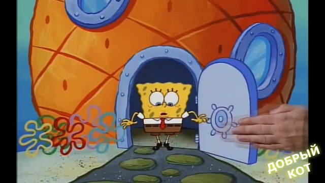 ЛУЧШИЕ ПРИКОЛЫ ДОБРЫЙ КОТ №30 июнь 2016