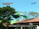 24 Oras: Skydiver, muntik nang   sumayad sa bubong sa Pangasinan